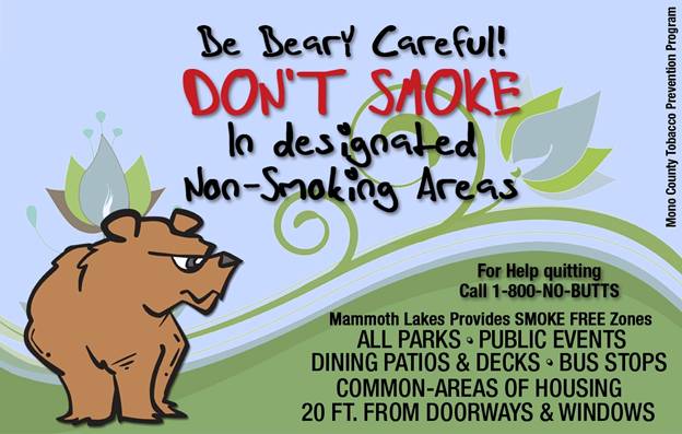 Don't Smoke Bear