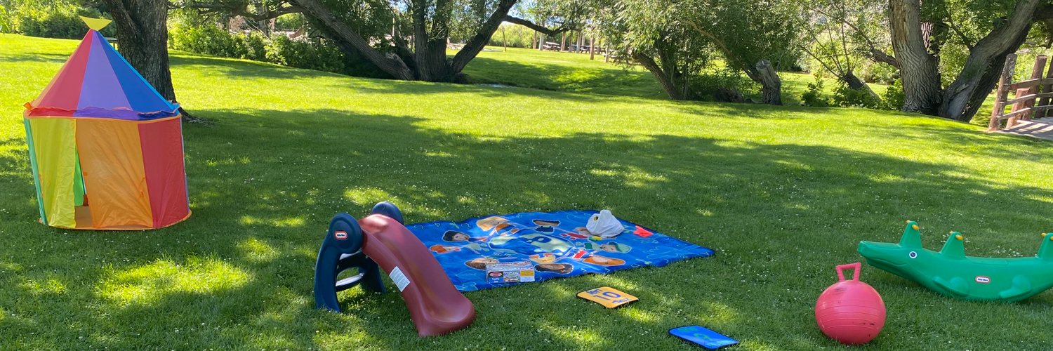 play equipment on lawn